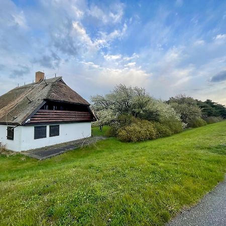 Ferienwohnung1 In Der Villa Westwind Thiessow Eksteriør billede